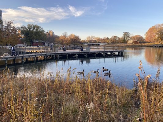 Lincoln Park by null