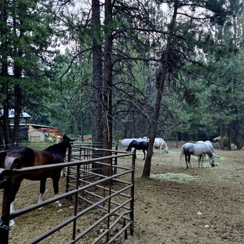 Lost Horse Lodge - Hotels Near Me - Hamilton, Montana
