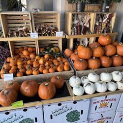 Whole Foods Market - Small autumn gourds.