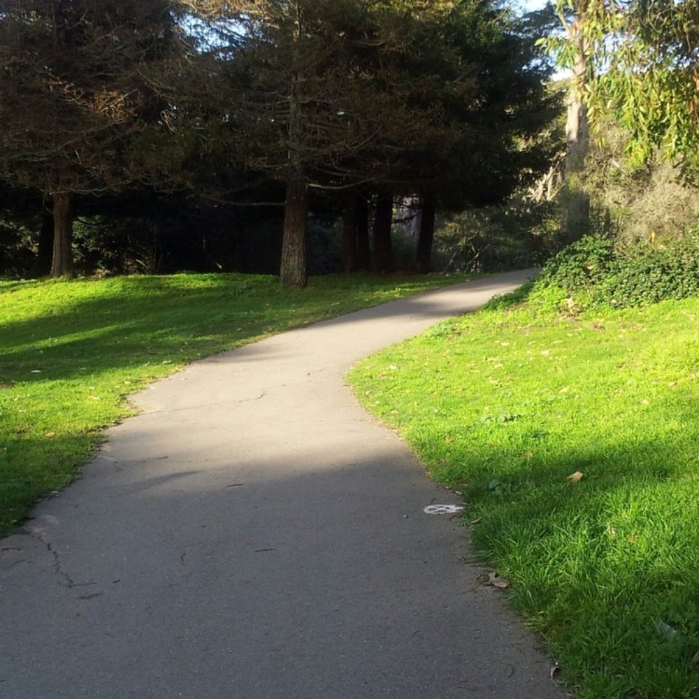 Boat Park - The path north to Martin Luther King, Jr., Drive and the rest of Golden Gate Park. - Playgrounds Near Me - San Francisco, California Boat Park - The path north to Martin Luther King, Jr., Drive and the rest of Golden Gate Park. - Playgrounds Near Me - San Francisco, California