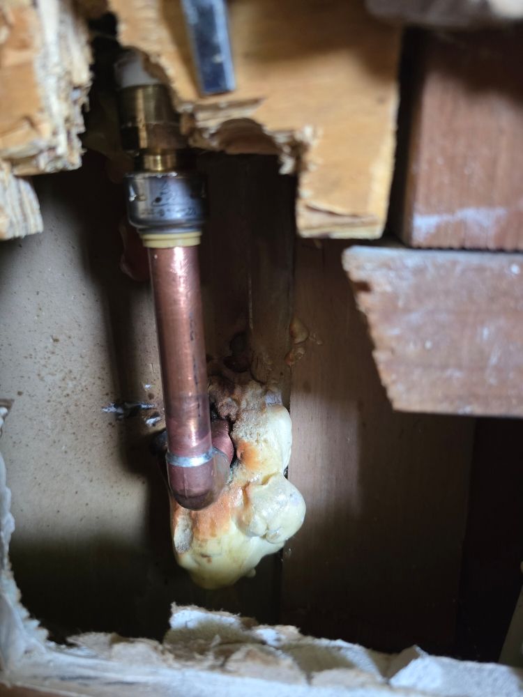 Slide of Genuin Brothers