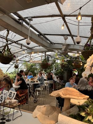 Greenhouse Bar by null