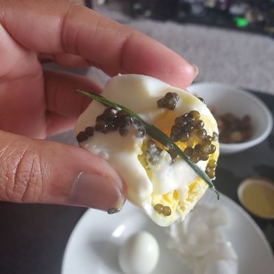 Pearl Street Caviar by null