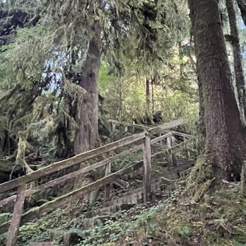 Quinault Rain Forest - Trail near Lake Quinault - Parks Near Me - Amanda Park, Washington Quinault Rain Forest - Trail near Lake Quinault - Parks Near Me - Amanda Park, Washington