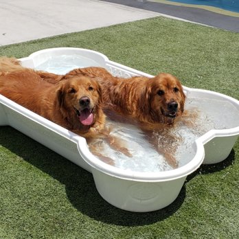 PetSuites Cypress - Pet Training Near Me - Houston, Texas PetSuites Cypress - Pet Training Near Me - Houston, Texas