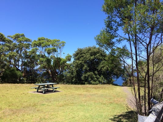 Royal National Park by null