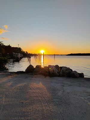 Mangrove Marina by null