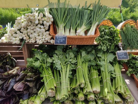 Hillsdale Farmers' Market by null