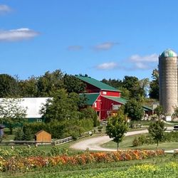 Forsythe Family Farms 2009 - It's blooming beautiful here at our farm in North Durham region.  Come, relax and connect with nature unfiltered