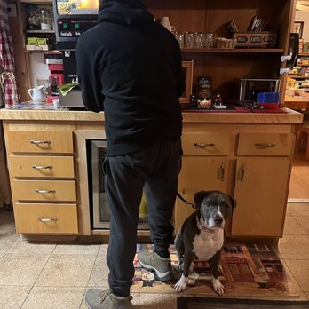 Fireside Lodge - Luna joining dad while he makes his coffee in the dining room. - Hotels Near Me - South Lake Tahoe, California Fireside Lodge - Luna joining dad while he makes his coffee in the dining room. - Hotels Near Me - South Lake Tahoe, California