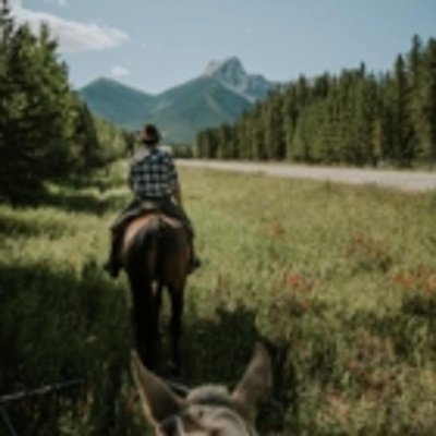 Boundary Ranch by null