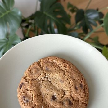 Loveless Coffees - Cookie - A chocolate chip cookie is placed on a white plate, with green leafy plants and a wooden floor in the background. - Coffee Roasteries Near Me - Brooklyn, New York
