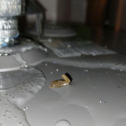 Alpha Plumbing Company