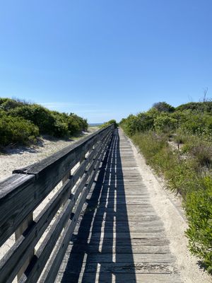 Cape May National Wildlife Refuge by null