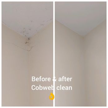 Qualified Cleaning Service - Cobweb's gone! - Home Cleaning Near Me - Winter Haven, Florida Qualified Cleaning Service - Cobweb's gone! - Home Cleaning Near Me - Winter Haven, Florida