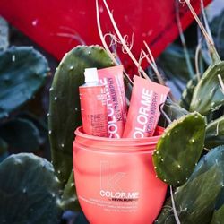 Salon 927 - Kevin Murphy