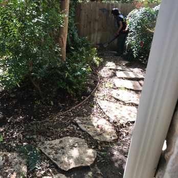 HCTT - Tree Services Near Me - Round Rock, Texas HCTT - Tree Services Near Me - Round Rock, Texas