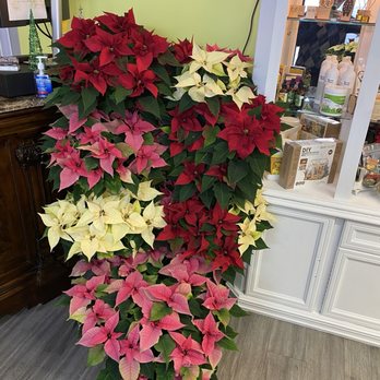 Bloom and Petal Parlor - Florists Near Me - Trail, British Columbia Bloom and Petal Parlor - Florists Near Me - Trail, British Columbia