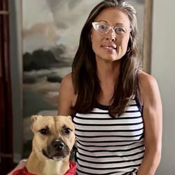 Den to Disciplined Dog Training
