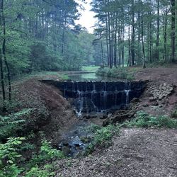 Lincoln Parish Park - Waterfall-- access from the road or the amazing competition grade mountain bike trails-- helmets required in the park!