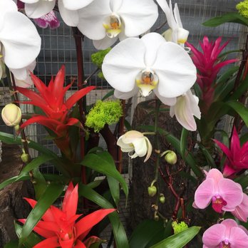 Cal Pacific Orchid Farm - Nurseries & Gardening Near Me - Encinitas, California Cal Pacific Orchid Farm - Nurseries & Gardening Near Me - Encinitas, California