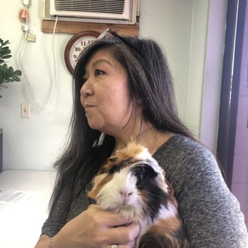 Hawaii Air Cargo - Colleen was so excited to meet my little fur family member, Ringo! - Shipping Centers Near Me - Honolulu, Hawaii Hawaii Air Cargo - Colleen was so excited to meet my little fur family member, Ringo! - Shipping Centers Near Me - Honolulu, Hawaii