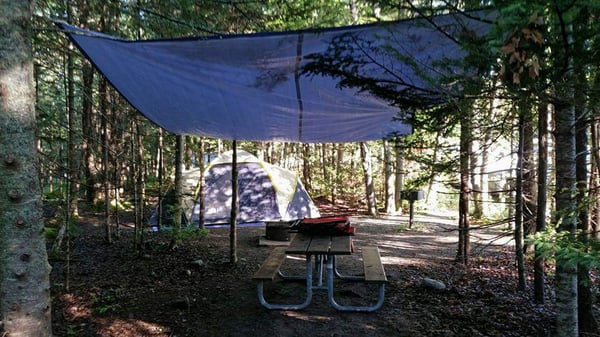 Seawall Campground by null