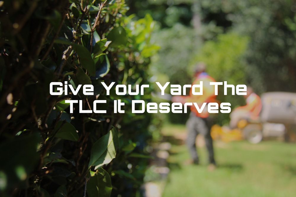 Trimmendous Lawn Care - tree service in Augusta, GA