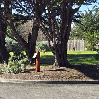 The Inn at the Tides - View of the hotel grounds (1) - Hotels Near Me - Bodega Bay, California