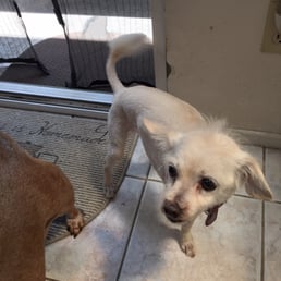 Little princess got a shave and loving her trimmed nails! Little princess got a shave and loving her trimmed nails!