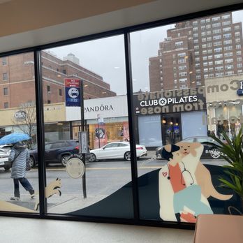Bond Vet - Forest Hills - Veterinarians Near Me - Queens, New York