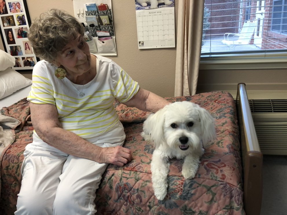 JEFF POWELL MOBILE NOTARY SERVICE Little Elm, Texas Notaries