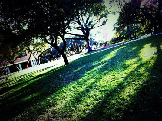 Trinity University by null