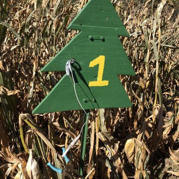 Three Cedars Farm - Christmas Trees Near Me - Northville, Michigan Three Cedars Farm - Christmas Trees Near Me - Northville, Michigan