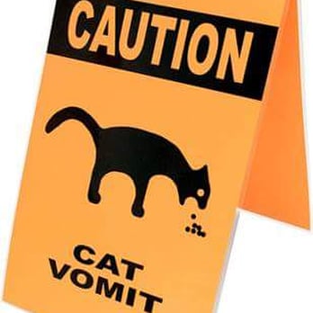 Cascade Cleaning Services - Call the pet odor specialist 407-8999. - Carpet Cleaning Near Me - Meridian, Idaho