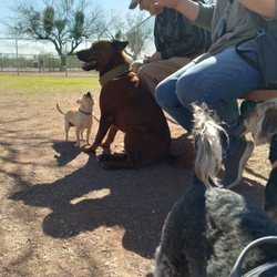 Flowing Wells Dog Park - The Mayor listens to his public!