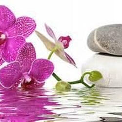 The Studio Salon & Day Spa