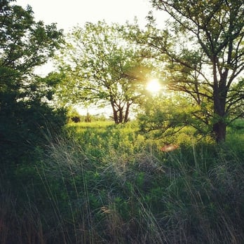 Springbrook Prairie Forest Preserve - Parks Near Me - Naperville, Illinois