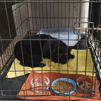 HAVEN ANIMAL HOSPITAL - Updated March 2026 - 43 Photos & 131 Reviews - 601  S State St, San Jacinto, California - Veterinarians - Phone Number - Yelp