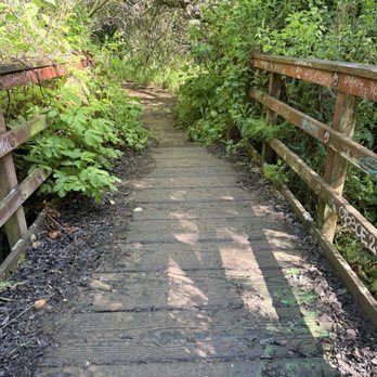 Palomarin Trailhead - Parks Near Me - Bolinas, California