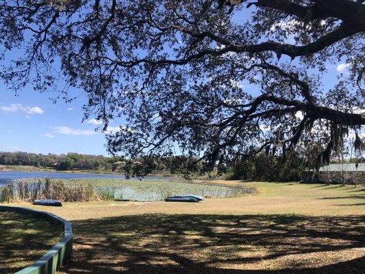 Munchies Live BBQ by null