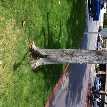Tree Life - Tree Services Near Me - Escondido, California Tree Life - Tree Services Near Me - Escondido, California