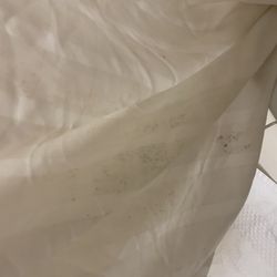 Comfort Inn Near Martinsville Speedway - Mold in the shower