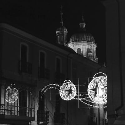 Catedral Vieja de Santa María de la Sede de Salamanca by null