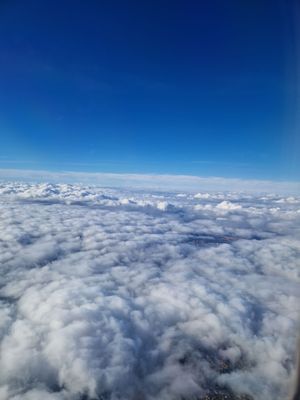 Naples International Airport by null