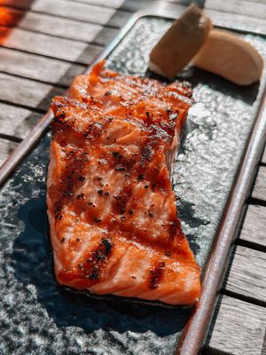 Redfish by null