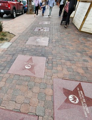 Walk of the Stars Palm Springs by null