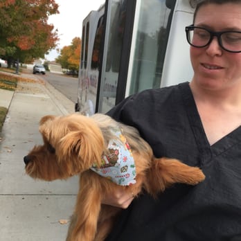 Beck's Puppy Love - Sassy - Pet Groomers Near Me Beck's Puppy Love - Sassy - Pet Groomers Near Me