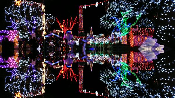 Stanley Park Railway by null