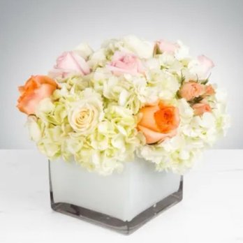Jory's Flowers - This is what was supposed to be sent with added flowers (i paid additional for an upgrade) - Florists Near Me - Concord, California Jory's Flowers - This is what was supposed to be sent with added flowers (i paid additional for an upgrade) - Florists Near Me - Concord, California